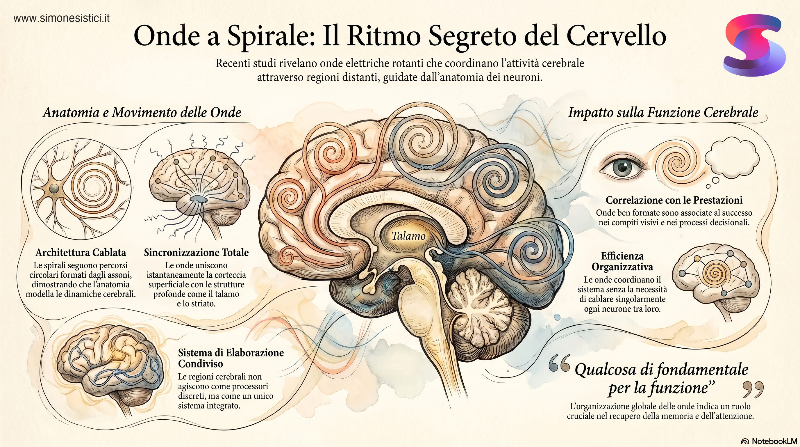 Infografica onde cerebrali